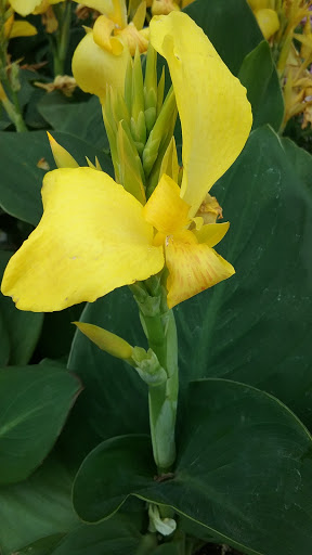 Home Improvement Store «The Home Depot», reviews and photos, 1255 Ten Rod Rd, North Kingstown, RI 02852, USA