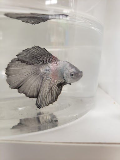 Pet Supply Store «Petco Animal Supplies», reviews and photos, 525 S 5th St, Bismarck, ND 58504, USA