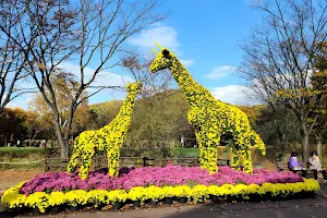 Daegu Arboretum image