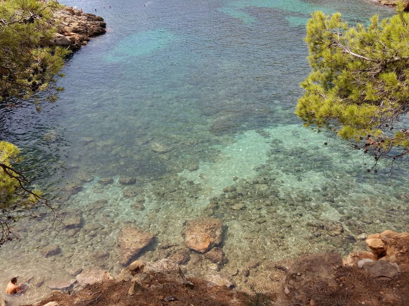 Cala Marmassen'in fotoğrafı çok temiz temizlik seviyesi ile