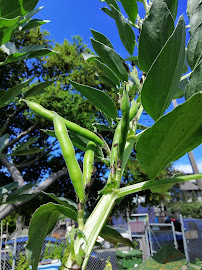 EcoHouse - Photo 6 - Car repair in Berkeley, CA, Berkeley