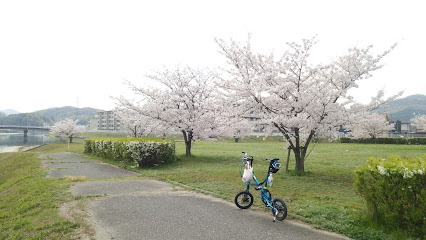 芝生広場