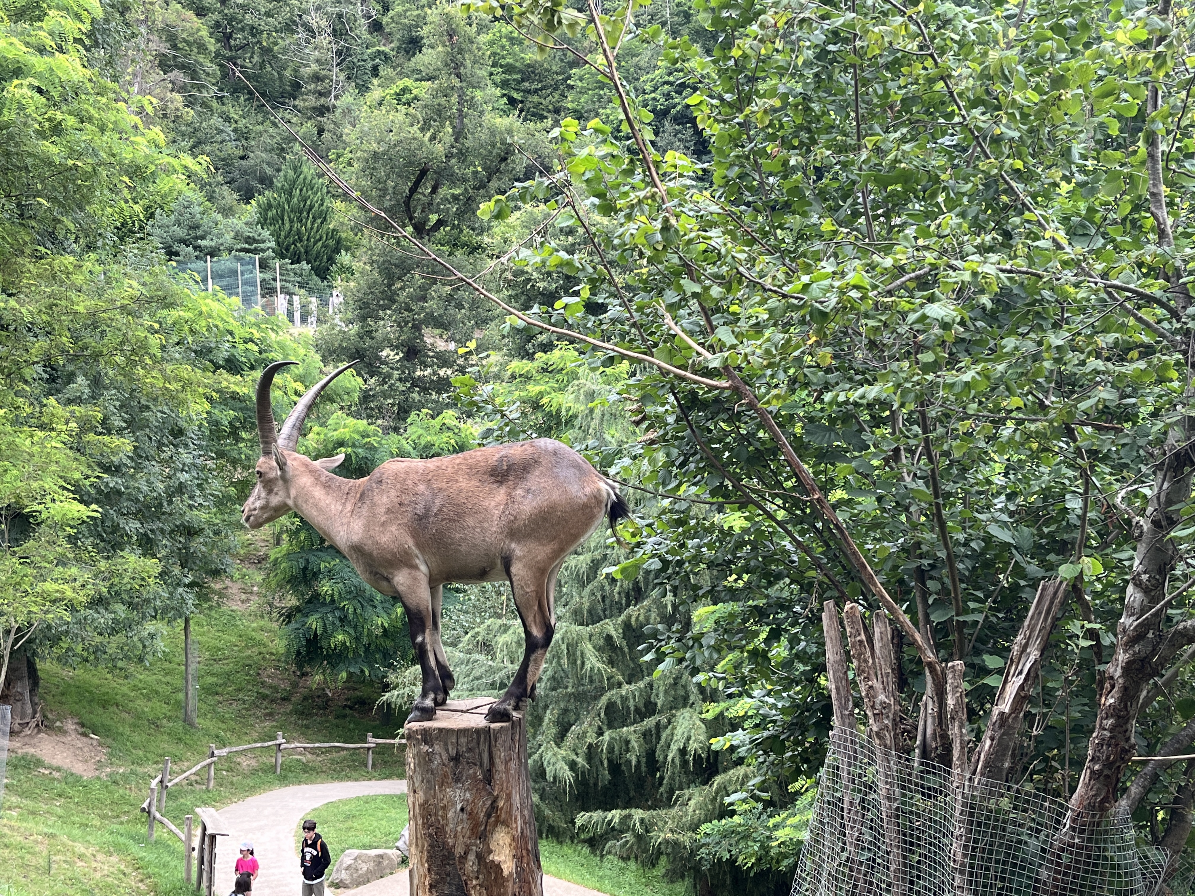 Photo n° 8 de l'avis de QIN.I fait le 16/07/2023 à 10:58