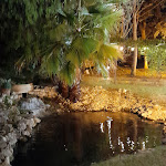 Photo n°1 de l'avis de cldy. fait le 01/10/2023 à 08:04 sur le  La Sorgente à Sermoneta