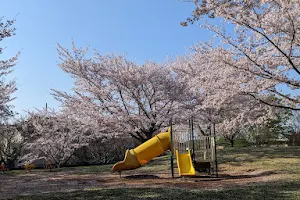 Oyumino Akinomichi Park image