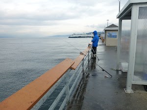 Olympic Beach - photo 16
