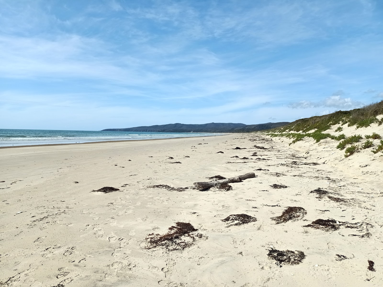 Zdjęcie Bakers Beach z proste i długie