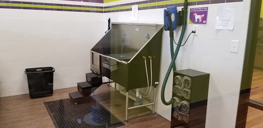 Pet Supply Store «Pet Supermarket», reviews and photos, 534 S Hunt Club Blvd, Apopka, FL 32703, USA