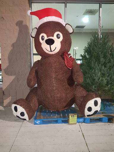 Shopping Mall «Hazleton Park Shopping Center», reviews and photos, 200 Weis Ln, West Hazleton, PA 18202, USA