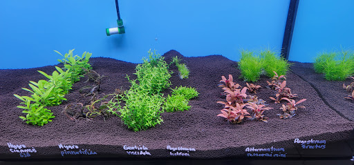 Tropical Fish Store «Ocean Design Aquarium», reviews and photos, 7542 W Addison St, Chicago, IL 60634, USA