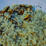 Photo n°5 de l'avis de Harald.r fait le 14/09/2020 à 07:23 sur le  Taverna Al Pescatore à Marano Lagunare