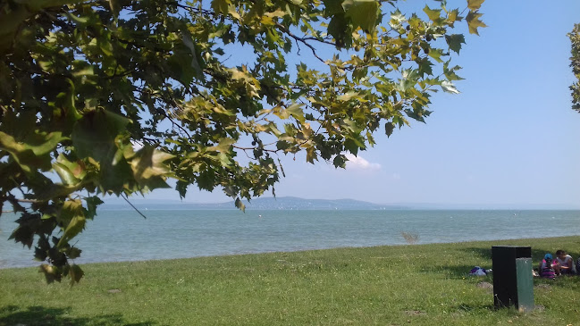 Fonyódligeti Erzsébet-tábor - Kemping