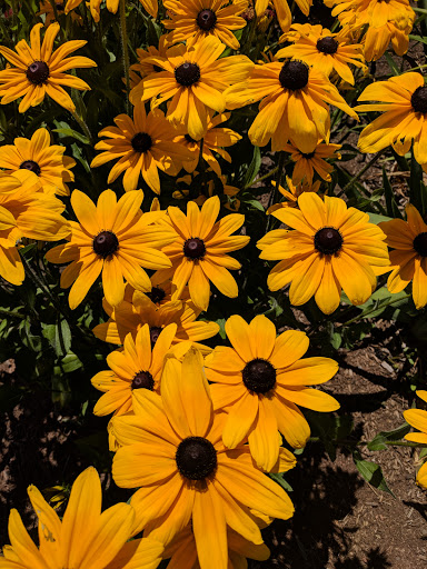 Produce Market «Blue Moon Acres», reviews and photos, 11 Willow Creek Dr, Pennington, NJ 08534, USA