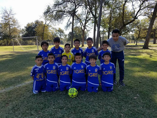 academia tigres houston