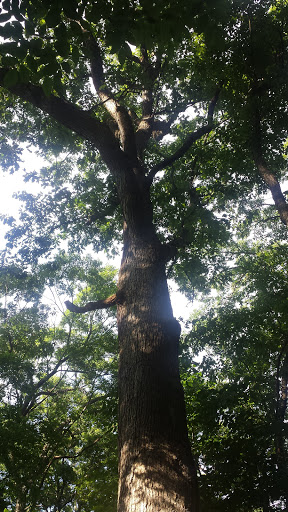 Nature Preserve «Kishwauketoe Nature Conservancy», reviews and photos, 251 Elkhorn Rd, Williams Bay, WI 53191, USA