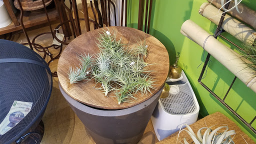 Shopping Mall «Fourth Street Shops», reviews and photos, 1834 Fourth St, Berkeley, CA 94710, USA