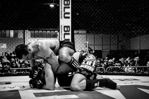 LION FIGHTERS MMA - Artes Marciales Mixtas, Boxeo, Kick boxing, Grappling, Defensa personal. image