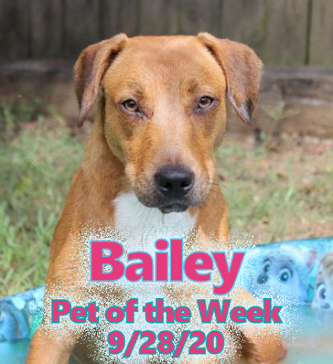 Humane Society of Elmore County