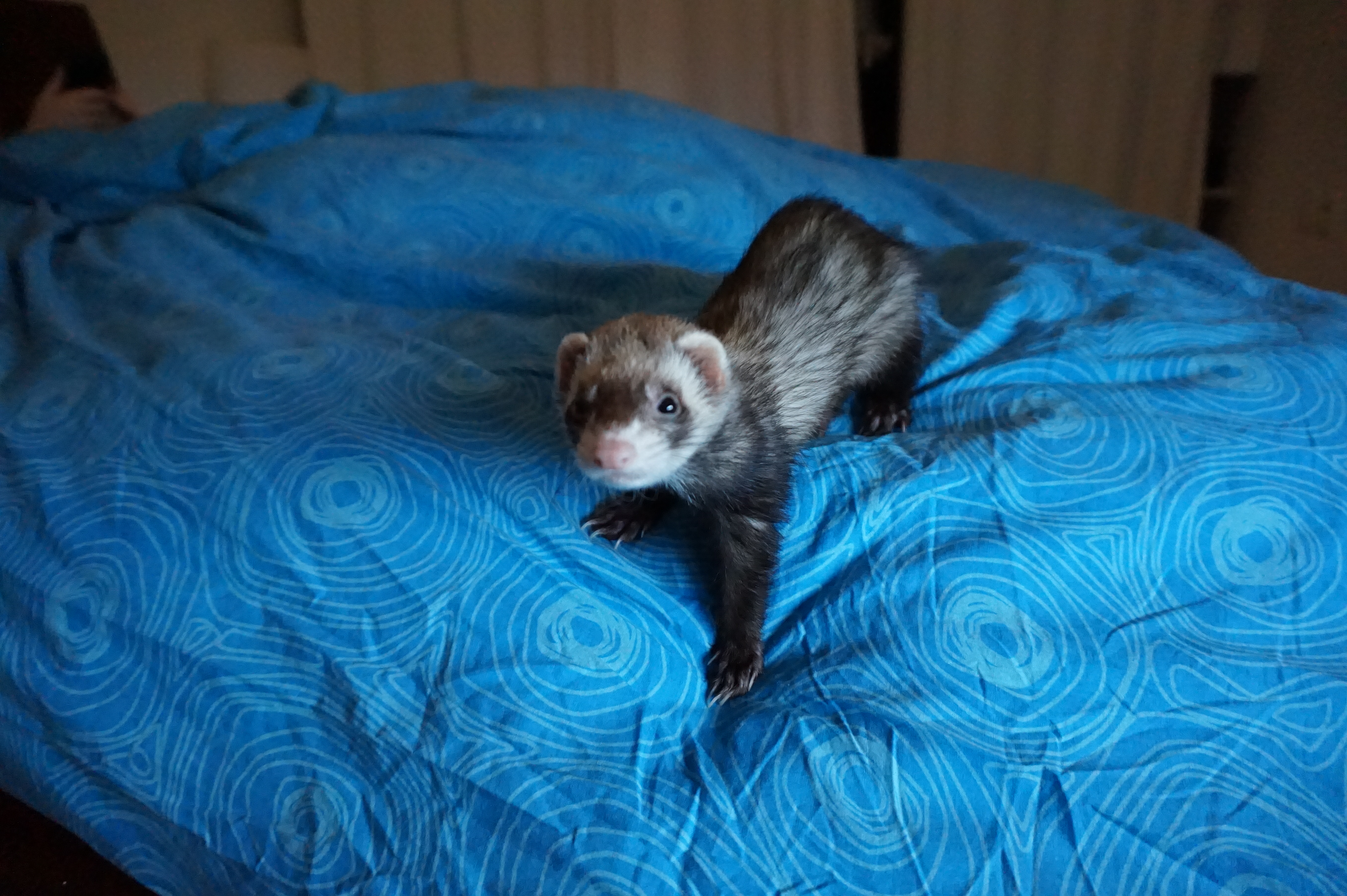 Photo n° 1 de l'avis de José.e fait le 29/10/2021 à 21:15