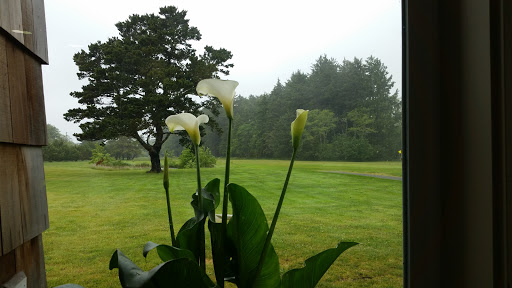 Golf Course «Peninsula Golf Course», reviews and photos, 9604 Pacific Ave, Long Beach, WA 98631, USA