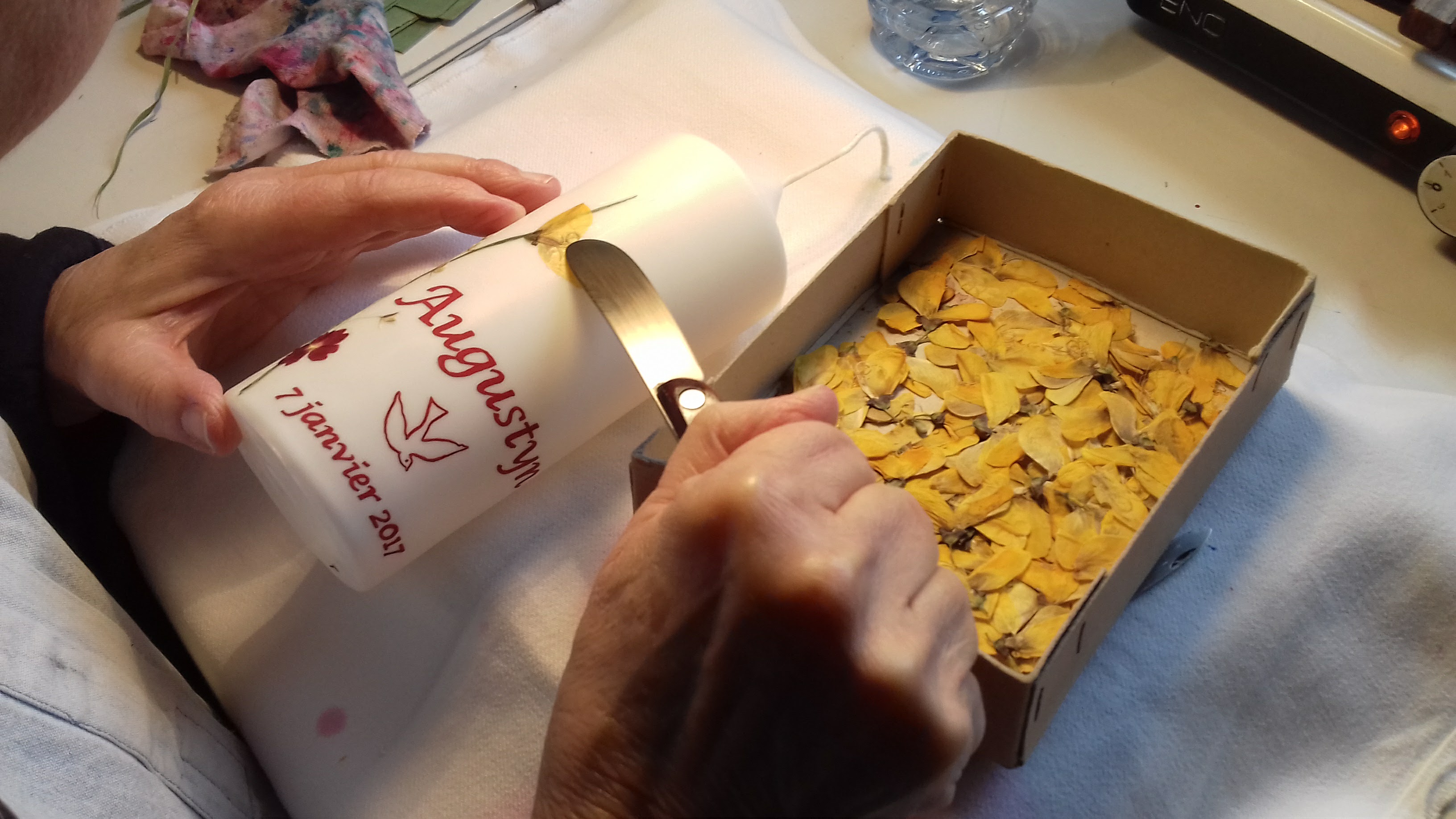 Photo n° 1 de l'avis de meregrand.l fait le 07/07/2022 à 18:50