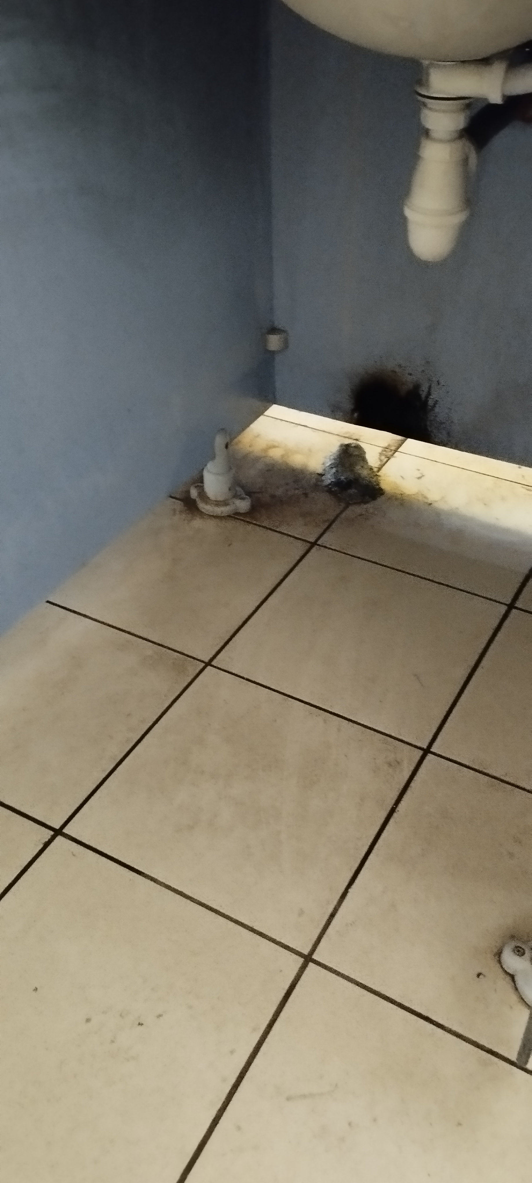 Photo n° 4 de l'avis de njp. fait le 31/07/2022 à 20:16