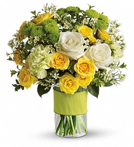 Florist «Xpressions Florist», reviews and photos, 14373 Blanco Rd, San Antonio, TX 78216, USA