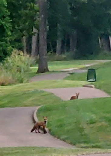 Golf Course «River Creek Club», reviews and photos, 43800 Olympic Blvd, Leesburg, VA 20176, USA