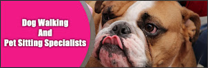 Dog Walking and Pet Sitting Specialists - Photo 4 - Car repair in , Baltimore