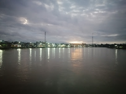 Río Iscuande