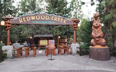 Redwood Creek Challenge Trail image