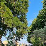 Photo n°1 de l'avis de Celeste.a fait le 01/11/2022 à 08:51 sur le  Pasticceria Emo Lullo à Guardiagrele