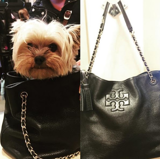 Consignment Shop «Closet NV», reviews and photos, 745 E Maple Rd, Birmingham, MI 48009, USA