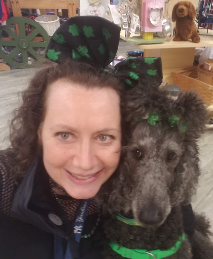 Pet Supply Store «USA Dog Shop», reviews and photos, 549 NY-17, Tuxedo Park, NY 10987, USA