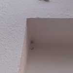 Photo n°2 de l'avis de Alika.i fait le 16/09/2023 à 19:22 sur le  Hotel Solara Area Camper à Conca Specchiulla