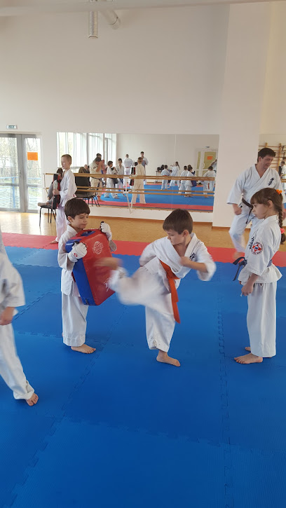 Rorsoo Federatsiya Karate Kekusinkaykan - Krasnoarmeyskaya Ulitsa, 232, Rostov-on-Don, Rostov Oblast, Russia, 344022