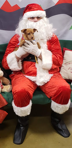 Pet Supply Store «PetSmart», reviews and photos, 3093 E Main St, Russellville, AR 72802, USA