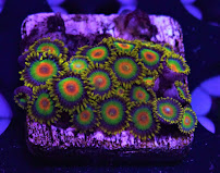 Coral Bargain Warehouse - Photo 3 - Car repair in Lakeland, FL, Lakeland