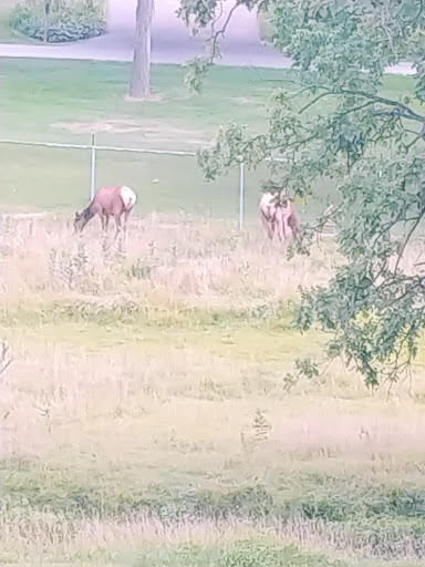Museum «Elgin Public Museum», reviews and photos, 225 Grand Blvd, Elgin, IL 60120, USA