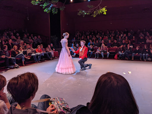 Performing Arts Theater «Tyler Civic Theatre», reviews and photos, 400 Rose Park Dr, Tyler, TX 75702, USA