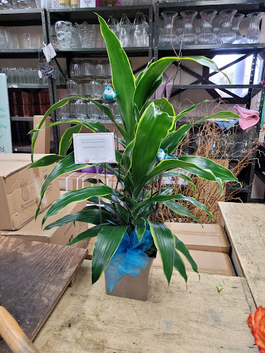 Florist «Cathy Cowgill Flowers», reviews and photos, 4315 Hills and Dales Rd NW, Canton, OH 44708, USA