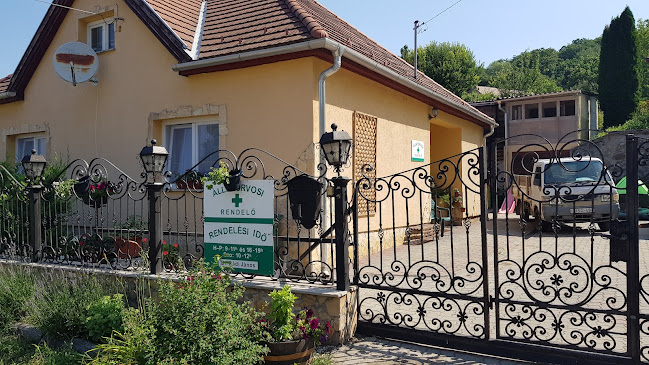 Opinii despre Pilisszentléleki focipálya în Esztergom - Sportpálya