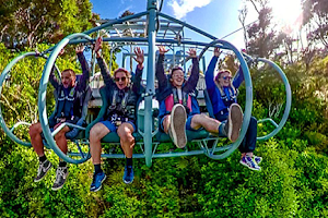 Cable Bay Adventure Park image