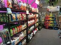 Gardens of Babylon Landscapes - Car repair in Nashville, TN, Nashville - Rated 4.7/5