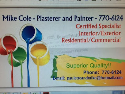 Mike Cole - Plasterer and Painter