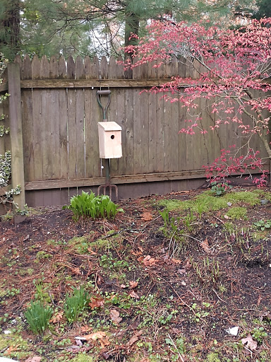 Farm «Lewin Farms», reviews and photos, 812 Sound Ave, Calverton, NY 11933, USA