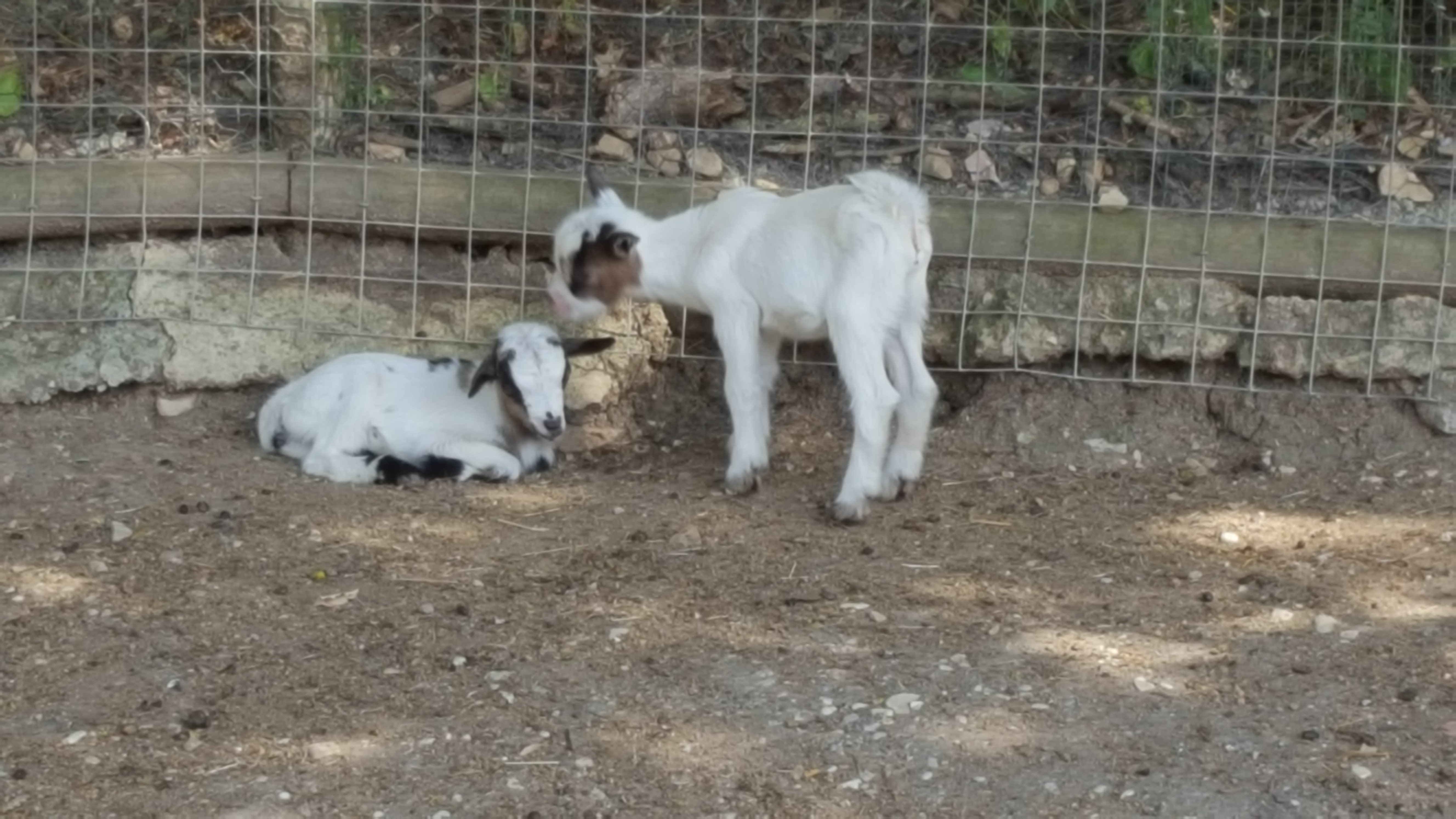 Photo n° 1 de l'avis de Thierry. fait le 23/07/2019 à 16:52