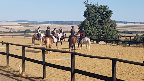 attractions Poney Club Des Champchardons Senan