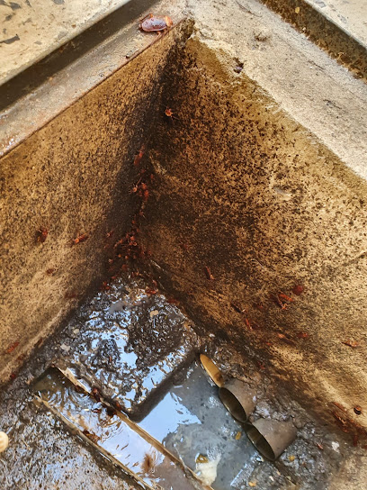 Princípio Dedetizações São Gonçalo Belo Horizonte MG