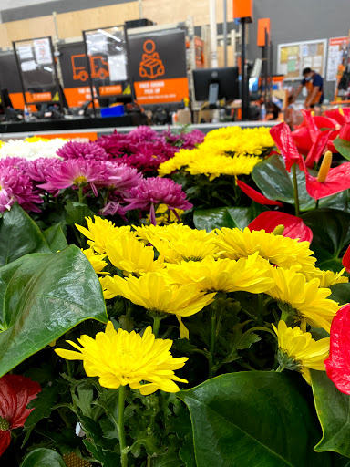 The Home Depot image